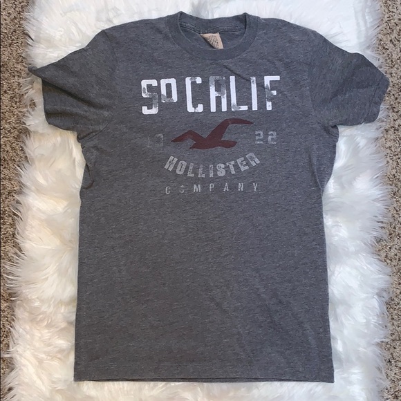 Hollister Other - $5 in any bundle! Hollister Logo Tee